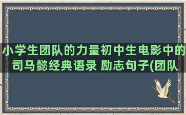 小学生团队的力量初中生电影中的司马懿经典语录 励志句子(团队的力量演讲稿)